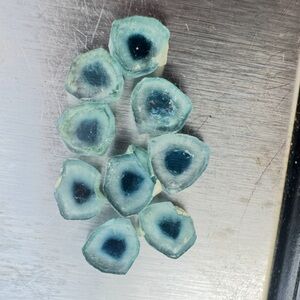 6.70ctw rare genuine blue tourmaline slices new